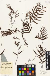 SW_BNB_s3010-09435_IMG-0000000001