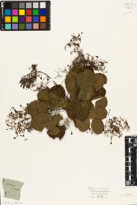 SW_BNB_s3010-09436_IMG-0000000001