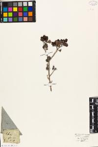 SW_BNB_s3010-09437_IMG-0000000001