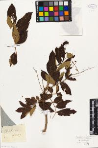 SW_BNB_s3010-09438_IMG-0000000001