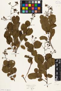 SW_BNB_s3010-09439_IMG-0000000001