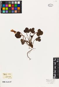 SW_BNB_s3010-09440_IMG-0000000001