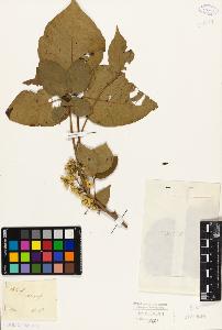 SW_BNB_s3010-09441_IMG-0000000001