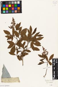 SW_BNB_s3010-09442_IMG-0000000001