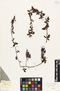 SW_BNB_s3010-09443_IMG-0000000001