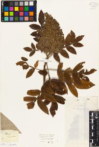 SW_BNB_s3010-09444_IMG-0000000001