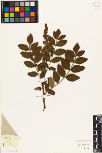 SW_BNB_s3010-09445_IMG-0000000001