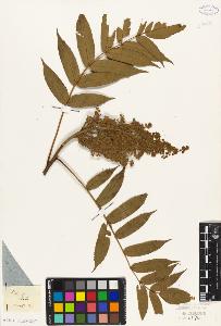 SW_BNB_s3010-09446_IMG-0000000001