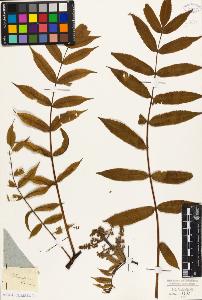 SW_BNB_s3010-09447_IMG-0000000001