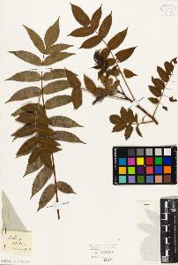 SW_BNB_s3010-09448_IMG-0000000001