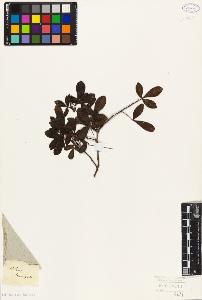 SW_BNB_s3010-09449_IMG-0000000001