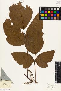 SW_BNB_s3010-09452_IMG-0000000001