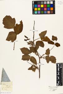 SW_BNB_s3010-09453_IMG-0000000001