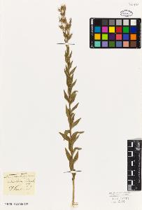 SW_BNB_s3010-09455_IMG-0000000001