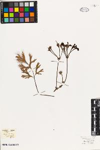 SW_BNB_s3010-09456_IMG-0000000001