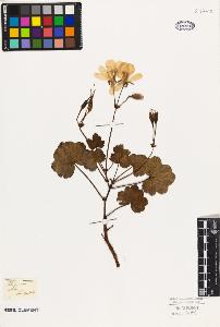 SW_BNB_s3010-09457_IMG-0000000001