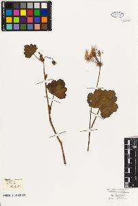 SW_BNB_s3010-09458_IMG-0000000001