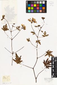 SW_BNB_s3010-09459_IMG-0000000001