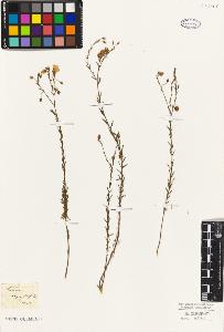 SW_BNB_s3010-09460_IMG-0000000001