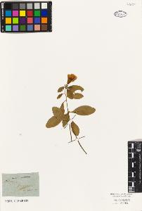 SW_BNB_s3010-09461_IMG-0000000001