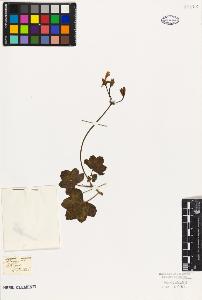 SW_BNB_s3010-09467_IMG-0000000001