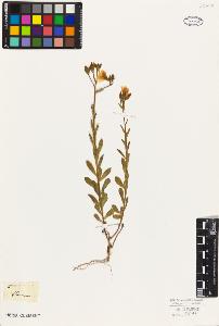 SW_BNB_s3010-09468_IMG-0000000001