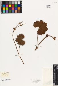 SW_BNB_s3010-09469_IMG-0000000001