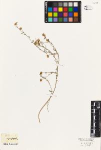 SW_BNB_s3010-09470_IMG-0000000001