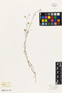 SW_BNB_s3010-09471_IMG-0000000001