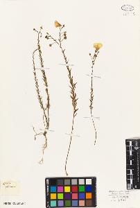 SW_BNB_s3010-09472_IMG-0000000001