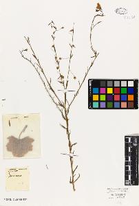 SW_BNB_s3010-09473_IMG-0000000001