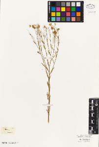 SW_BNB_s3010-09475_IMG-0000000001