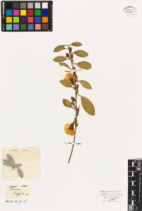 SW_BNB_s3010-09478_IMG-0000000001