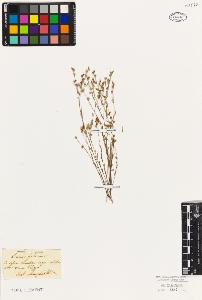 SW_BNB_s3010-09480_IMG-0000000001