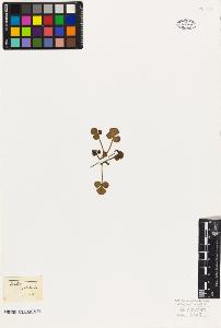 SW_BNB_s3010-09481_IMG-0000000001