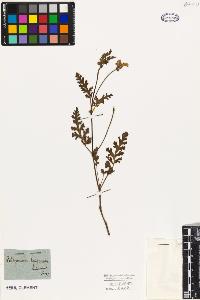 SW_BNB_s3010-09483_IMG-0000000001