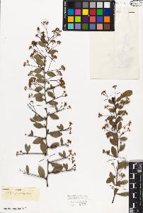 SW_BNB_s3010-09484_IMG-0000000001