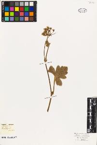 SW_BNB_s3010-09485_IMG-0000000001