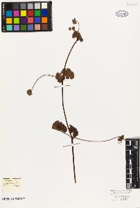 SW_BNB_s3010-09486_IMG-0000000001