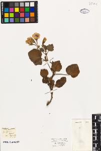 SW_BNB_s3010-09487_IMG-0000000001