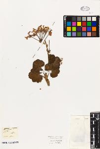 SW_BNB_s3010-09488_IMG-0000000001