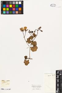 SW_BNB_s3010-09489_IMG-0000000001