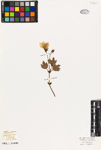 SW_BNB_s3010-09490_IMG-0000000001