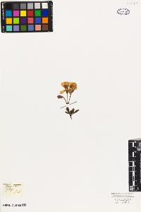 SW_BNB_s3010-09491_IMG-0000000001