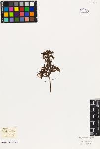 SW_BNB_s3010-09492_IMG-0000000001