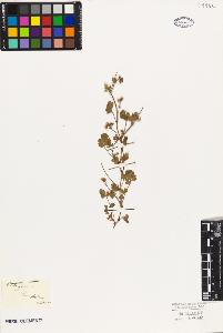 SW_BNB_s3010-09500_IMG-0000000001