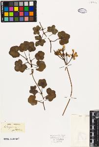 SW_BNB_s3010-09502_IMG-0000000001