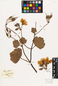 SW_BNB_s3010-09503_IMG-0000000001