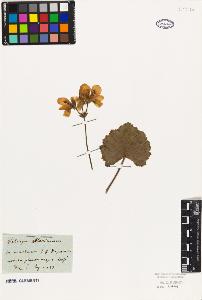 SW_BNB_s3010-09504_IMG-0000000001