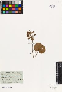 SW_BNB_s3010-09505_IMG-0000000001